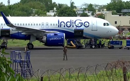 Bird strike at Dehradun airport: IndiGo plane’s nose damaged; all passengers safe