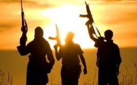 15 Naxals surrender in Sukma