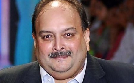 4 Choksi flats to go under hammer