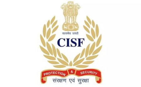 Operation Sindoor: 19 CISF personnel honoured; receive coveted 'DG's disk'