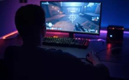 Online money games used to fund terror, govt tells SC