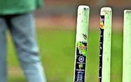 Treat cricket betting profits as 'proceeds of crime': HC