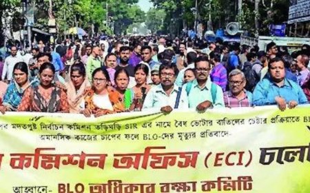 Amid row over BLO deaths, EC says it'll meet TMC MPs Friday