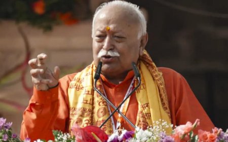 Day of fulfilment, flag brings sense of closure: Bhagwat