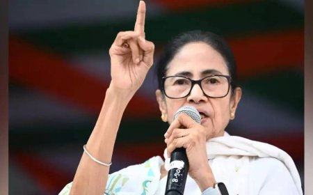 'Secularism is endangered': Mamata Banerjee on Constitution Day - here's what opposition said