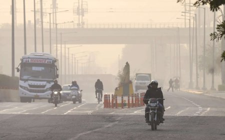 'Don't have a magic wand': Supreme Court on Delhi air pollution; calls for identification of factors behind toxic smog