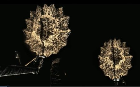 Indo-US satellite Nisar enters science operations phase