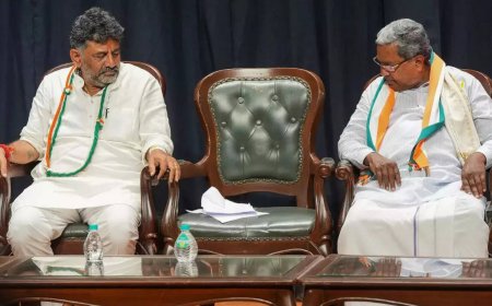 Karnataka CM tussle: BJP floats new theory; Bommai says 'dark horse' may take over reins