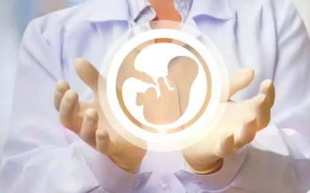 WHO urges countries to make fertility care affordable and accessible