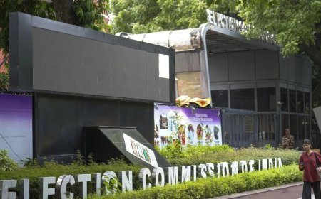 'Work tirelessly at field': EC doubles remuneration of BLOs; hikes pay for supervisors