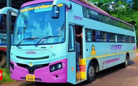 Recall sleeper buses flouting safety norms; hold officials accountable: NHRC to states