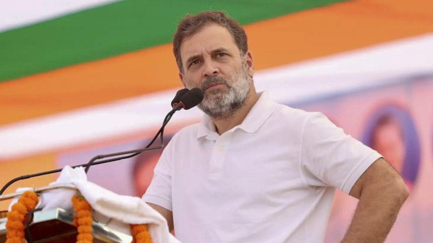 '10% control the Army': Rahul Gandhi's caste claim at Bihar rally, says 90% Indians 'nowhere to be found'