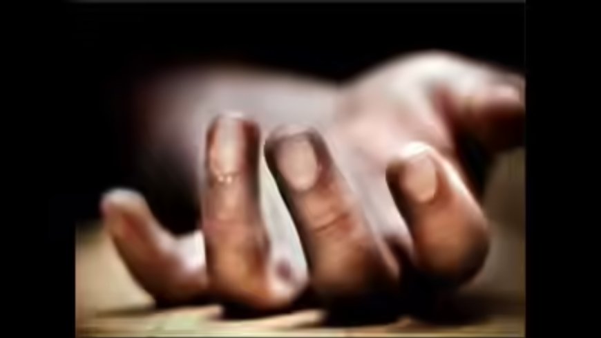 Pesticide fumes kill boy & sister in MP, parents critical