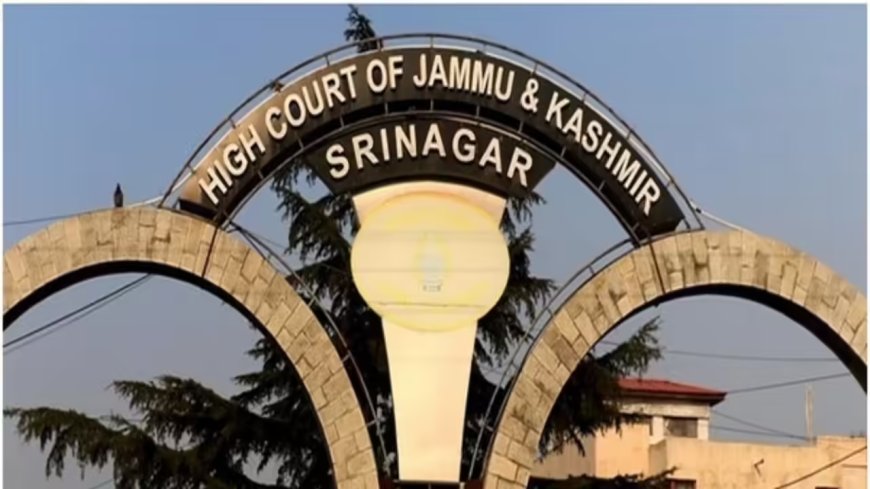 J&K HC upholds detention of a woman accused of having contact with Lakhvi’s nephew