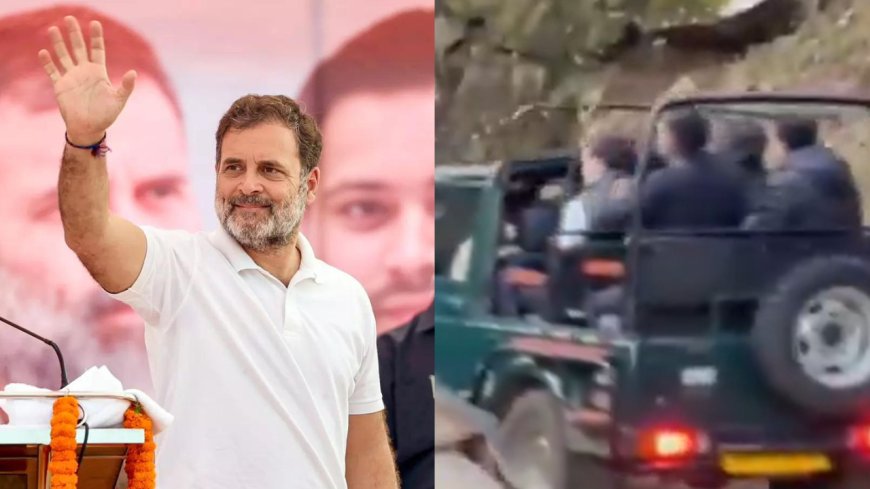 'LoP means Leader of Partying': BJP takes jibe at Rahul Gandhi; critiques Congress' priorities amid Bihar polls
