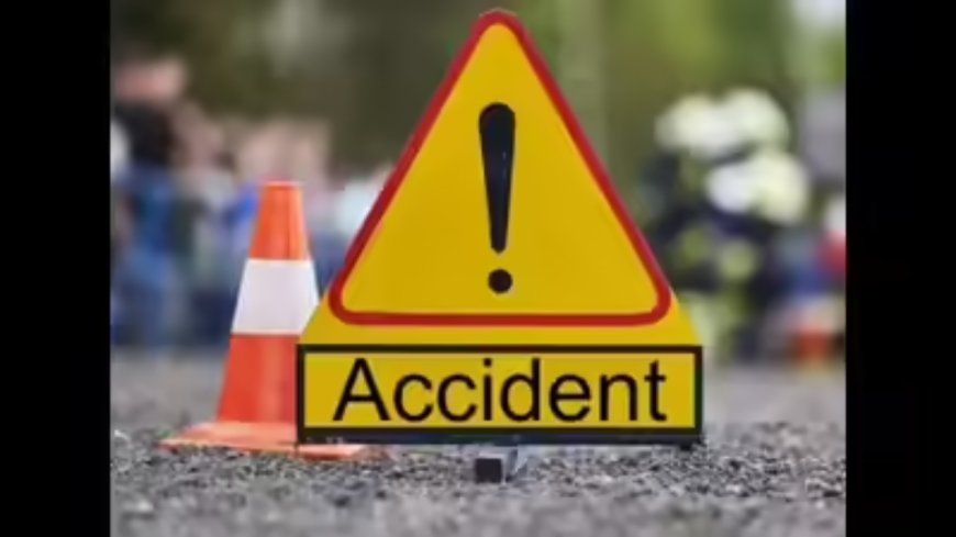 3 dead in crash as driver loses control trying to save wild boar