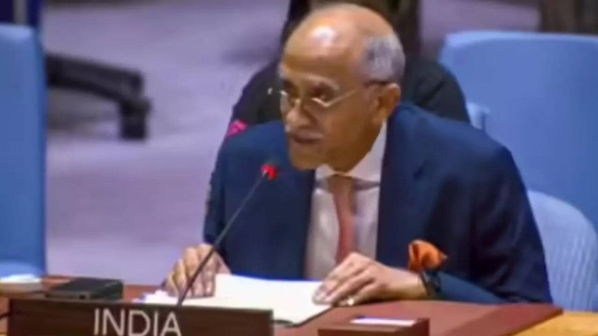 ‘Long-fought cross-border terror’: India tells UNSC to enforce zero-tolerance; remark hours after Delhi blast
