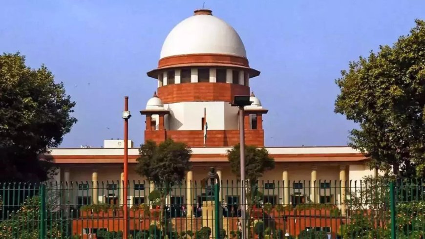 'Best morning to send a message': Day after Delhi blast, SC rejects bail plea of man accused of ISIS links; asks lower court to complete trial in 2 years