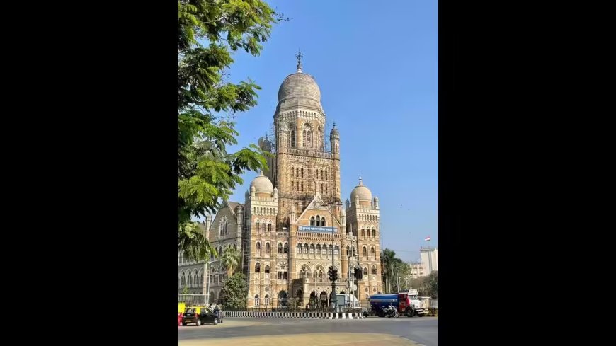 BMC ward reservation lottery leaves several heavyweights without fiefs