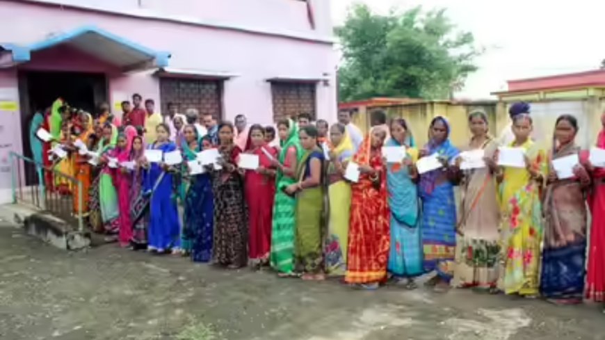 Bypolls for 8 seats see high to moderate turnout