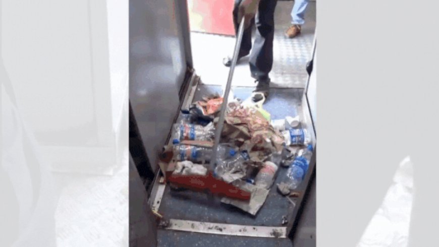'How they clean trains in India': Foreign influencers catch railway worker throwing garbage on tracks after sweeping - watch