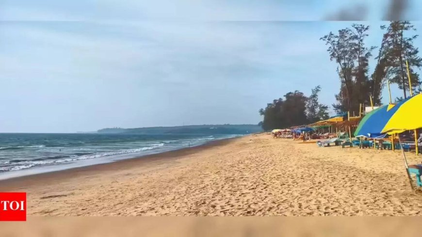 3 held for harassing foreigners in Goa