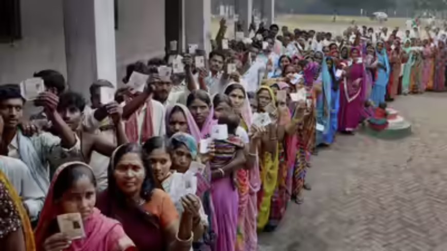 Lauriya Election Results 2025 Highlights: Vinay Bihari of BJP and RK Pratap Singh of VIP in a tight contest