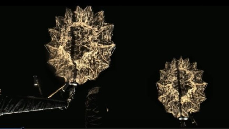 Indo-US satellite Nisar enters science operations phase