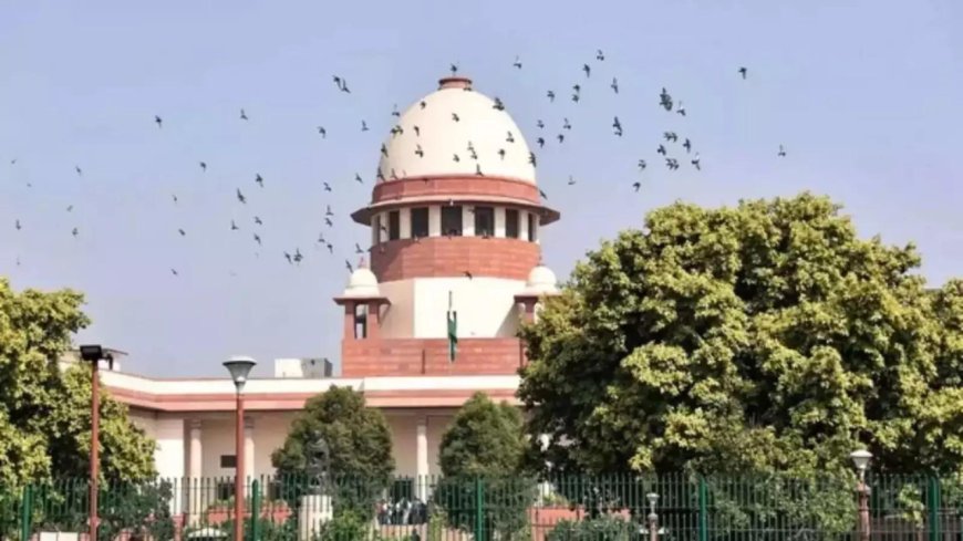 Senior counsels can’t orally mention case before any bench, says SC