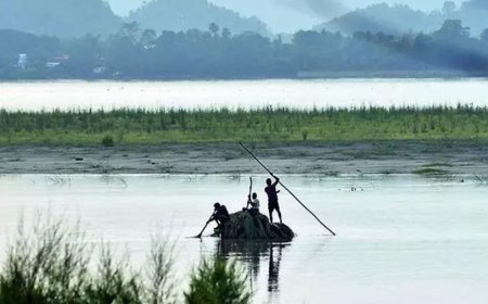 Assam's land a magnet for illegals, says report 'suppressed' for 41 years