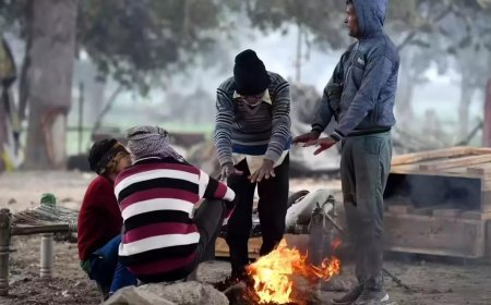 Central and adjoining northwest India may face chilly winter with more number of cold wave days: IMD