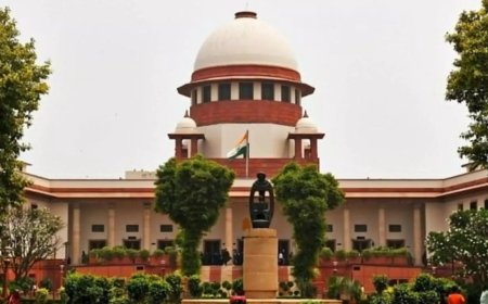 'Red carpet for intruders?' Supreme Court's sharp stance on Rohingya plea; questions legal basis