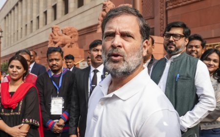 'Pets not allowed outside, but inside': Rahul Gandhi reacts to Renuka Chaudhary bringing dog in Parliament; BJP hits back