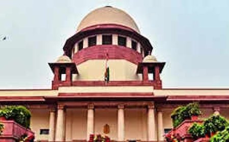 Illegal migrants have no legal rights, says SC