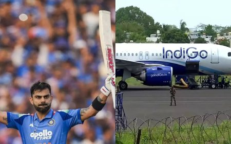 Evening news wrap: Virat Kohli hits 53rd ODI hundred; IndiGo flight punctuality crashes to 35% &amp; more