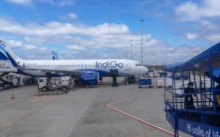 IndiGo cancellations: DGCA says over 1,200 flights affected; probe under way