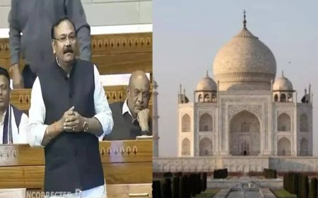 Taj Mahal 'curse' for Agra? BJP MP blames Taj Trapezium Zone for hindering development; proposes IT hub