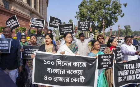 TMC MPs hold protest in Parliament complex over central dues