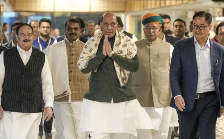 BJP brass meets in Parl, likely on next party chief