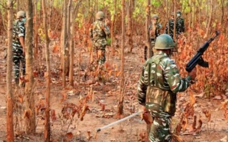 12 Reds, 3 cops dead as forces push deeper into Bastar; 268 Maoists killed so far in 2025