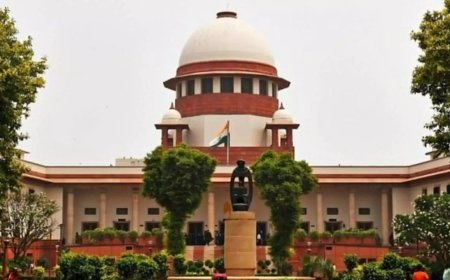 'Obligated to provide': Supreme Court tells states to deploy more staff for SIR; TVK plea flags BLO plight