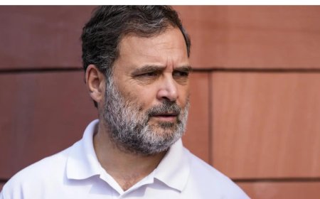 'Discretion of delegation': Government counters Rahul Gandhi on LoP–visitor meetings claim; names dignitaries who met him