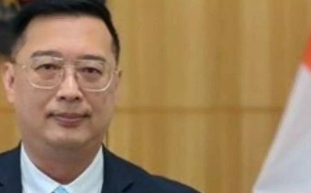 'Couldn’t attend staff member’s wedding': Singapore high commissioner’s flight cancelled; caught in IndiGo chaos