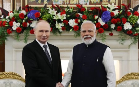From Kashmiri saffron to Assam tea: What all PM Modi gifted Vladimir Putin - see pics