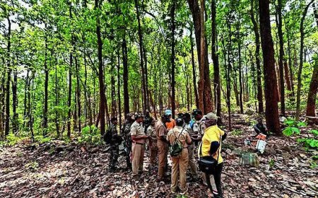 After 10-yr chase, wildlife sleuths nab the ‘ghost’