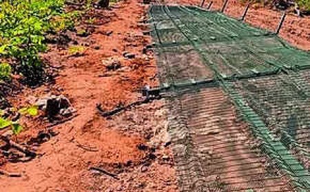 150m Myanmar border fence cut in Manipur