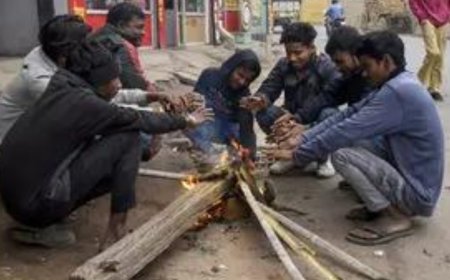 Cold conditions prevail in north India; temperatures sub-zero in several parts of J-K