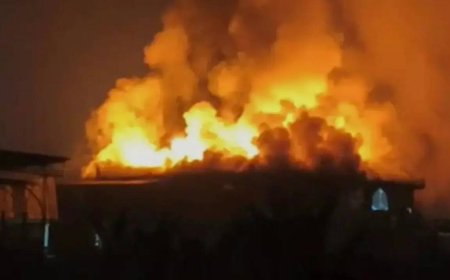 'Fireworks were set off': Goa nightclub survivor recalls moments before fire; what led to the blaze