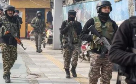 Chinese national released; cops find immigration violations by hotels, homestays, houseboats