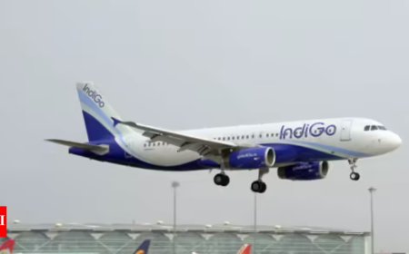 Govt may give 5% of IndiGo flight share to other airlines